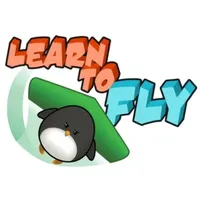 LEARN-TO-FLY